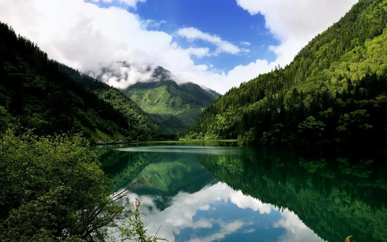 高标准高性能